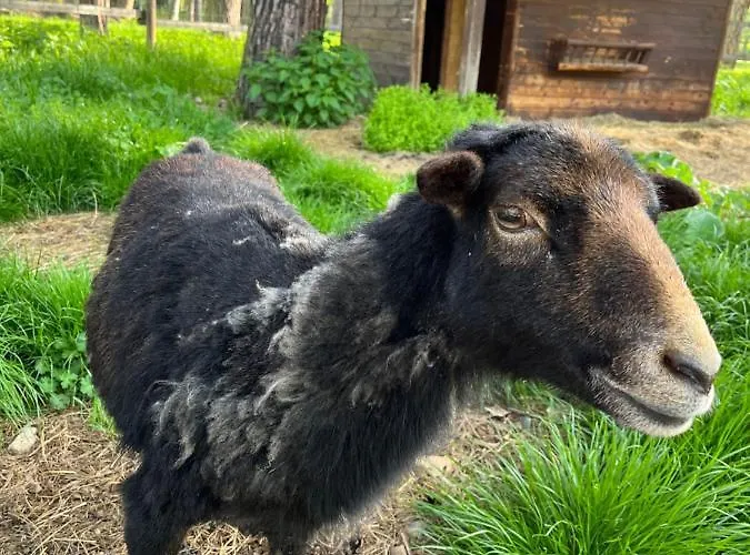 U Reky アパート *