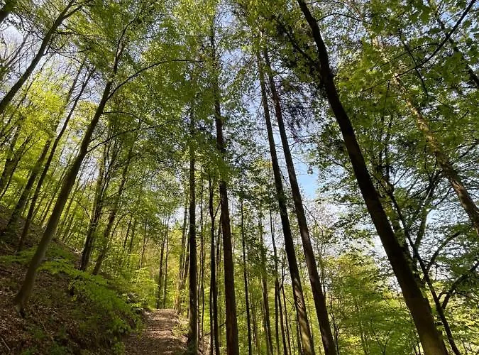 アパート U Reky *